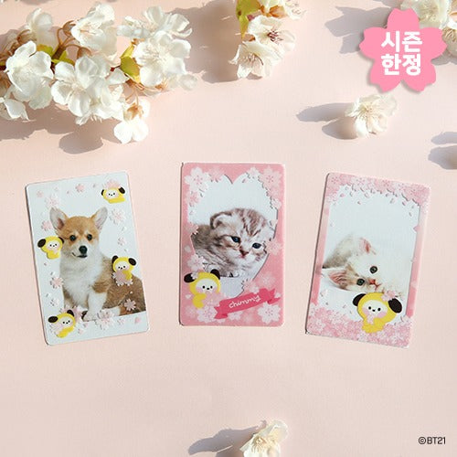 BT21 Cherry Blossom Minini Photo Card Frame - Chimmy - Fugitive Toys