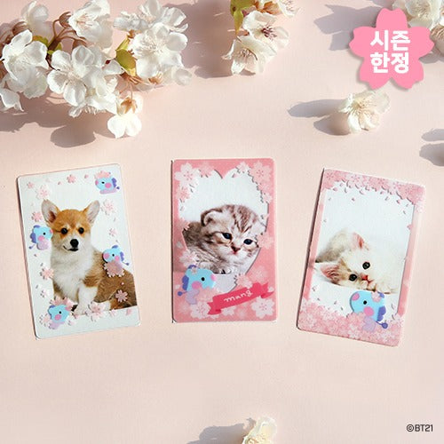 BT21 Cherry Blossom Minini Photo Card Frame - Mang - Fugitive Toys